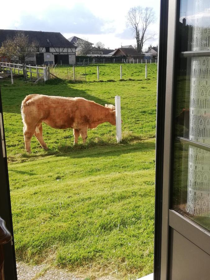 L'Opaline, Jolie Maison Avec Jardin 6 Pers,10Km Honfleur, Linge Et Internet Inclus Beuzeville Exterior photo