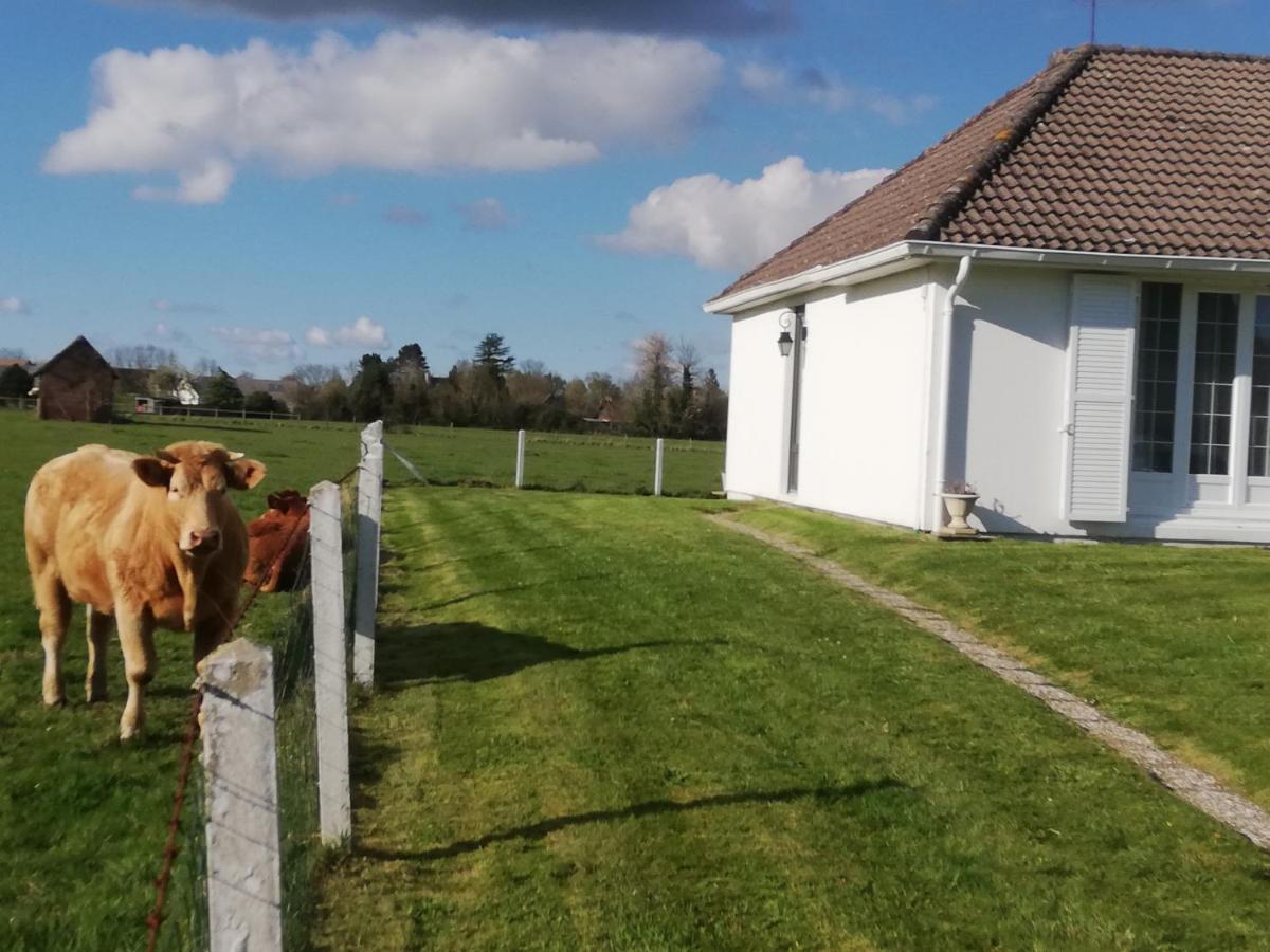 L'Opaline, Jolie Maison Avec Jardin 6 Pers,10Km Honfleur, Linge Et Internet Inclus Beuzeville Exterior photo